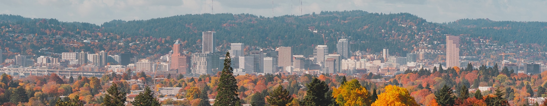 Portland slider